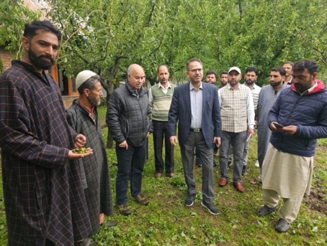 Dir Horticulture (K) tours extensively Hailstorm affected areas