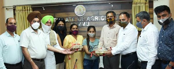 Dir Tourism reviews vaccination pace with CEOs