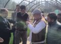 Dir Agri Kashmir inaugurates sale of Onion Seedlings at Gangbugh for farming Community