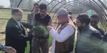 Dir Agri Kashmir inaugurates sale of Onion Seedlings at Gangbugh for farming Community