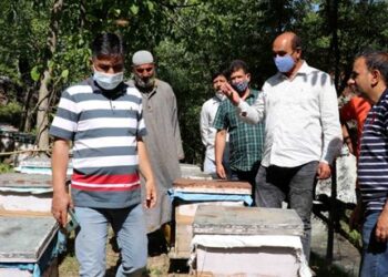 Department committed to promote Agri based SSCI in rural areas: Director Agriculture