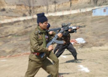 Strong measures being taken against elements attempting to disturb peace, tranquility in J&K: DGP Swain