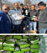 Director, Enforcement wing of AP&FWD inspect various fertilizer dealers at Shopian