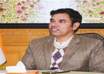 Tulip Festival: Div Com-(K) reviews arrangements