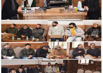 Div Com Kashmir takes review of Handicrafts & Handloom Department