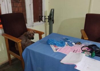 Dog the new health warrior occupies the Chair of BMO at Sub District Hospital Khansahb Budgam