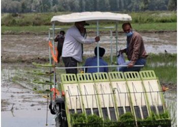 Agriculture: Driving force of J&Ks economy