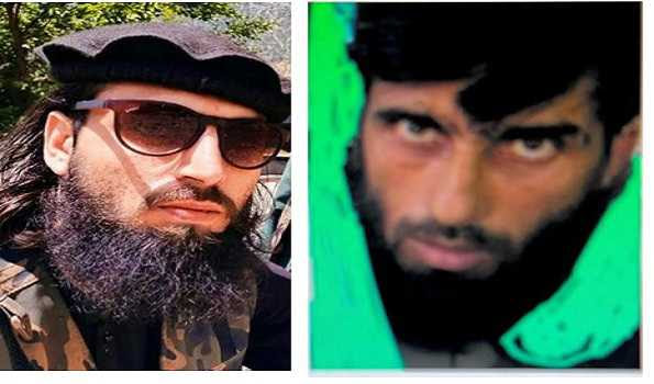 Drone Delivery Cases: Three OGWs arrested, seven identified in Rajouri, Poonch area: DGP Swain