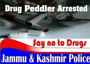 Drug peddler arrested in G’bal, contraband substance also recovered : Police