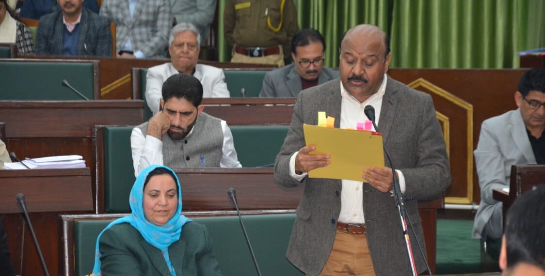 Govt considering 5 marla land allotment to Bagra flood victims: Dy CM
