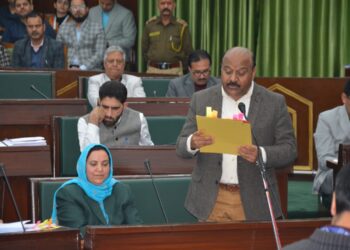 Govt considering 5 marla land allotment to Bagra flood victims: Dy CM