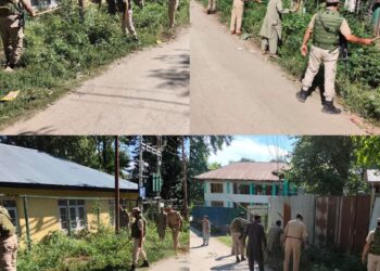 Anti-Drug Enforcement Drive Continues in PD Sopore under Nasha Mukt Jammu & Kashmir Abhiyaan; Wild Cannabis Destroyed.