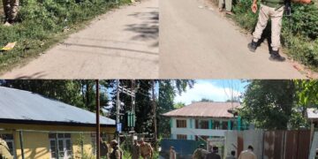 Anti-Drug Enforcement Drive Continues in PD Sopore under Nasha Mukt Jammu & Kashmir Abhiyaan; Wild Cannabis Destroyed.