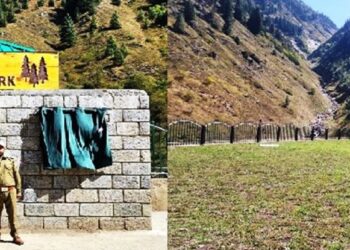 Forest Based Communities reaping enhanced benefits under new NTFP Policy of Govt: PCCF