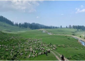 Forest Rights Act implementation: A historic step changing lives of JK’s tribal communities