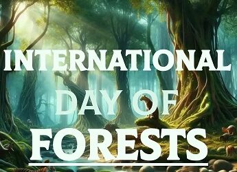 J&K Forest Deptt Observes Int’l Day of Forests at JVC Bemina Campus Bemina