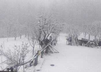 Fresh snowfall ends prolonged dry spell in Kashmir