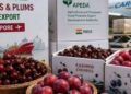 From Orchards To Global Shelves: Kashmir’s Moment