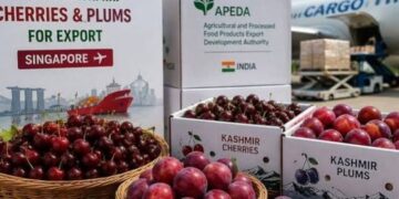 From Orchards To Global Shelves: Kashmir’s Moment