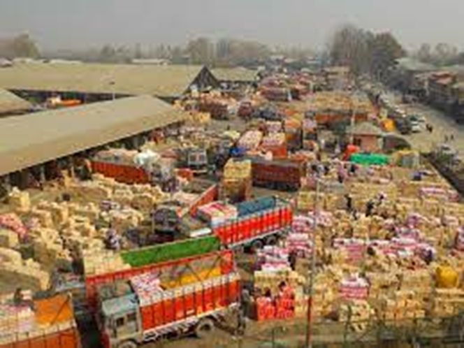 Fruit mandis shut across Kashmir as Losses Rise To Rs 1,200 Cr