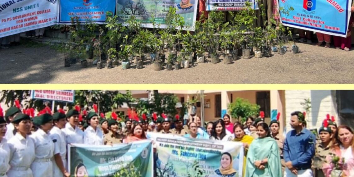 Colleges across Jammu Division conduct Plantation Drive