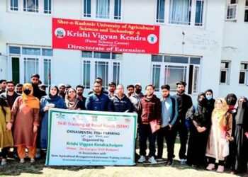 GDC Soibugh Students Shine in Training Programmes