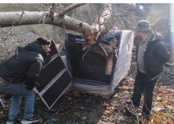 Dir Agriculture (K) assesses Gusty Wind Damage at Lalmandi