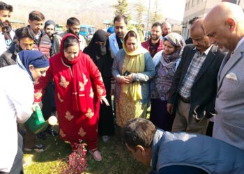 Sakeena Itoo leads plantation drive at Distt Hospital G’ bal   