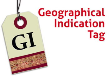 Valley to get GI registration of 5 more Crafts