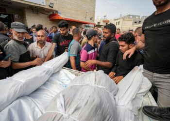 Day 220 in Gaza in detailed numbers; 35,091 martyred, 78,827 injured