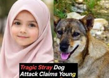 8 year Girl dies after stray dog attack in Kashmir’s Sopore