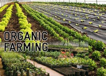 J&K Govt launches project to promote sustainable Agriculture with focus on organic farming