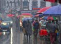 Kashmir experiences spring-like weather after fresh rainfall