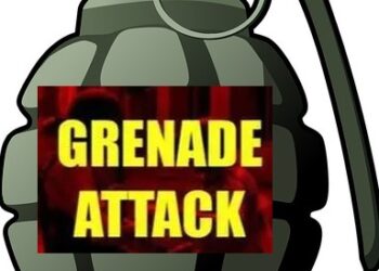 2 cops injured in grenade attack in Pulwama