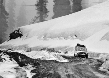 Fresh Snowfall shuts Gurez road; 38 trapped vehicles rescued