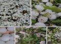 Hailstorm, Lightning,Thunderstorms Ravage Kashmir’s Fruit Industry