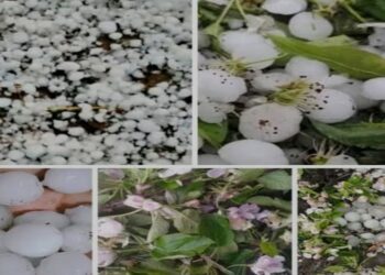 Hailstorm, Lightning,Thunderstorms Ravage Kashmir’s Fruit Industry