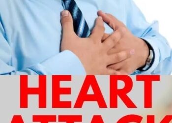 BDO dies of heart attack in Gurez Valley