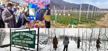 Horticulture a viable economic activity