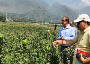 Horticulture in J&K: A significant contributor to economy of J&K