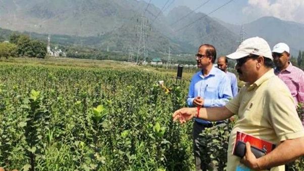 Horticulture in J&K: A significant contributor to economy of J&K