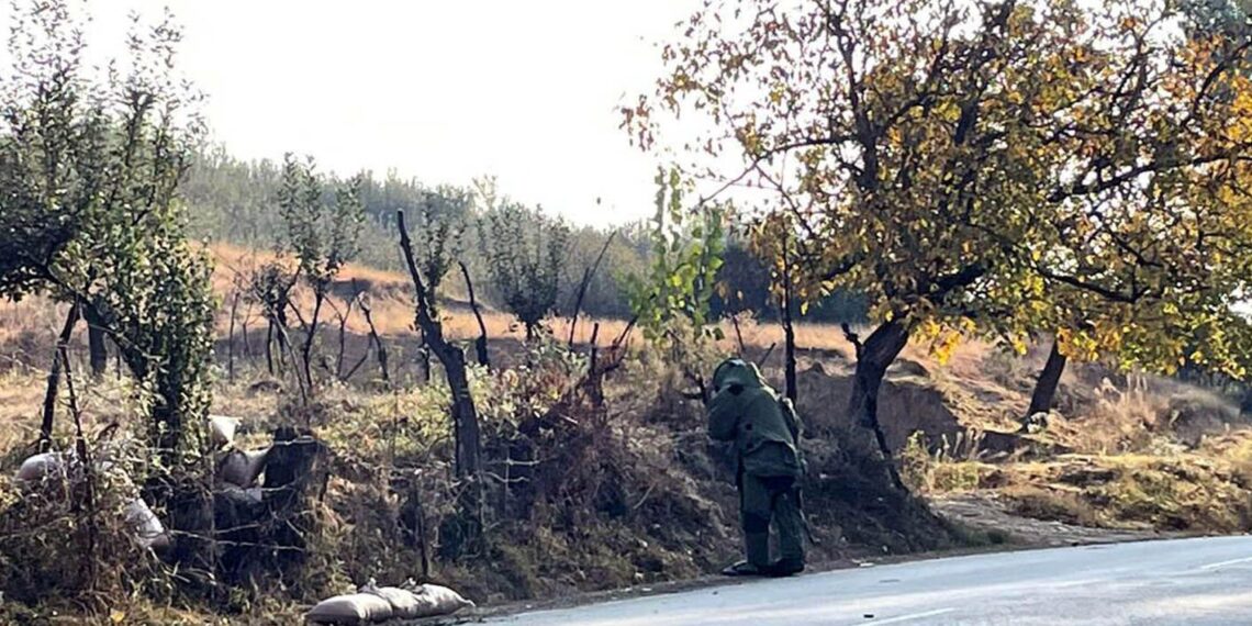 Leaves of trees turning marshy and start shredding as Autumn season starts to begin in Kashmir