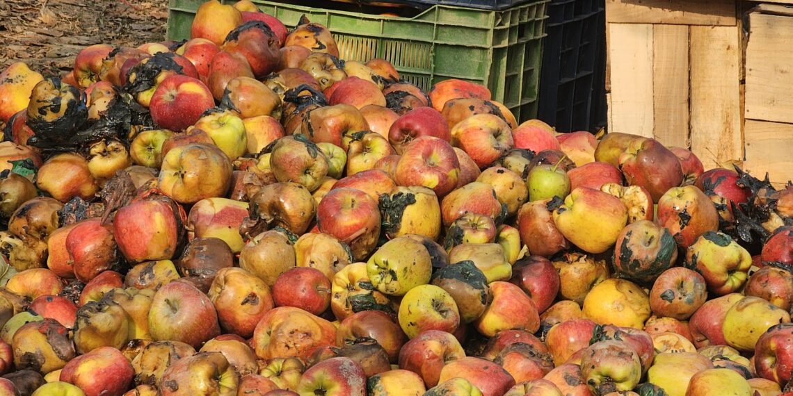 *Fire Damages Hundreds of Apple Crates in Tulran Shopian*