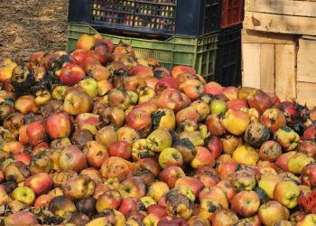 *Fire Damages Hundreds of Apple Crates in Tulran Shopian*