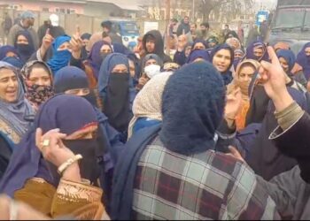 *ASHA Workers Protest in Hajin Over Six-Month Salary Delay*