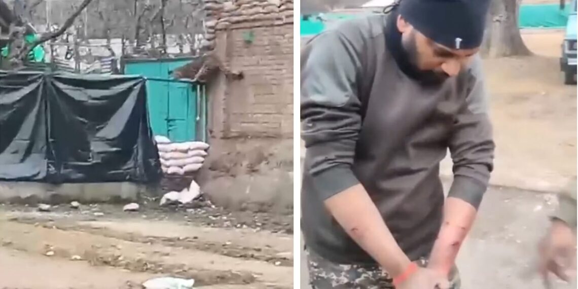 *CRPF Jawan Injured In Leopard Attack At Camp In South Kashmir*