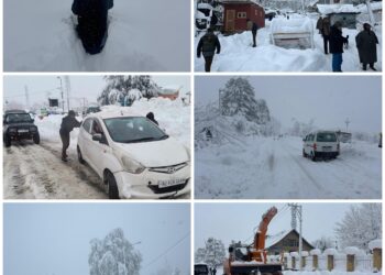 Successful Facilitation of Tourist Movement Amid Heavy Snowfall in Tangmarg Sub-Division