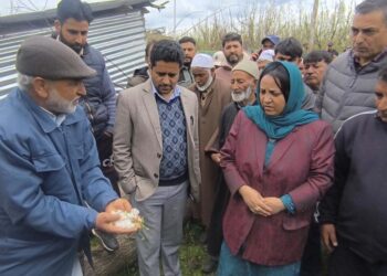 Sakeena Itoo visits hailstorm affected villages of Kulgam