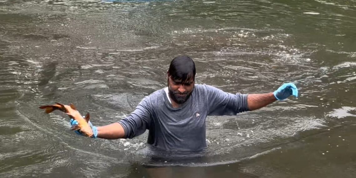 Mass Fish deaths in Ganderbal Spring raise Contamination Fears