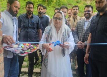 Dr Darakhshan inaugurates Reconstruction & Beautification Project of the shrine at Sarbal & lays foundation for development works at Aishmuqam in South Kashmir today